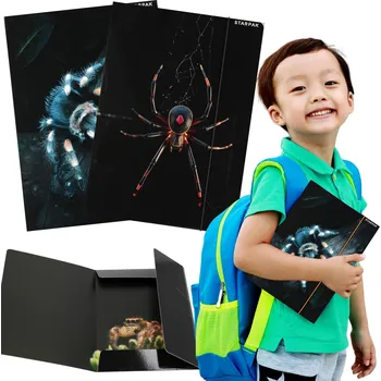 DESKY NA SPISY S GUMIČKOU PAVOUCI PRO CHLAPCE A4 - LAMINOVANÉ