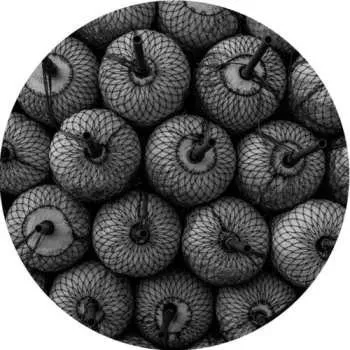 Zahraniční hudba LP Forest Drive West: Parallel Space EP 2020