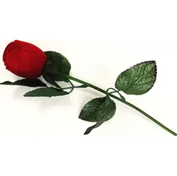 Dárková krabička Dárková krabička růže červená i růžová (Dárková sametová krabička růže s lístkem)