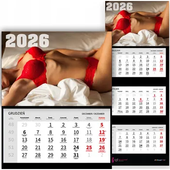 Kalendář Kalendář Trojdílný 2026 ČERVENÉ PRÁDLO Erotický Do Dílny Vzory