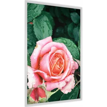 Obraz Plakát na zeď RŮŽE Listy Kapky vody 3D 50x70