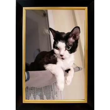 Obraz Rámeček na jednu fotografii Marek i Darek 30 x 20 cm