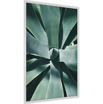 Obraz Plakát v Rámu Květ Aloe Vera LISTY Dekor 3D 50x70
