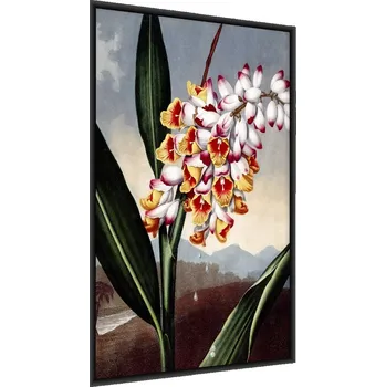 Obraz Zarámovaný Plakát Barevné KVĚTINY Malířství 50x70