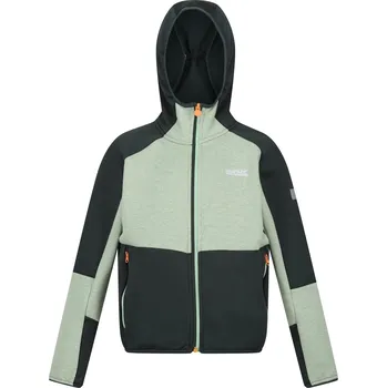 Dívčí mikina Regatta DrkstSpr 1160463 3-4Y