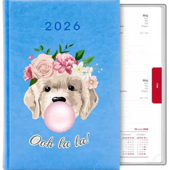 Kalendář Knižkový kalendář pro učitele 2026 A5 modrý