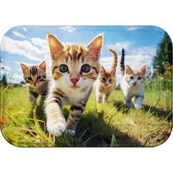 Koupelnová předložka KOUPELNOVÁ PŘEDLOŽKA | MĚKKÁ MATA 60X40 PRYSZNIC ANTYPOŚLIZGOWA MODNA VZOR