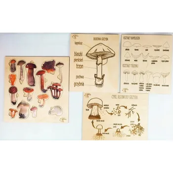 Dřevěná hračka Houby, sada, dřevěné puzzle, stavba houby, druhy, vývoj