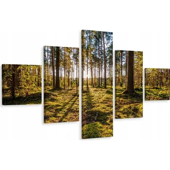Obraz Vícedílný obraz Les Slunce Mech Zeleň 3D 200x120