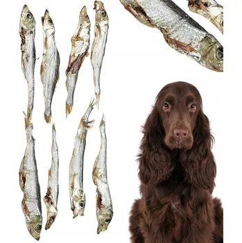 Pamlsek pro psa Šproty - 100g. Ryba pro psa