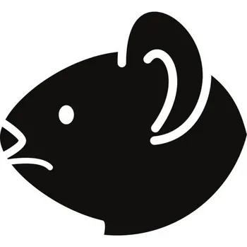 Samolepící dekorace Samolepka na stěnu koala medvídek 13x15 cm