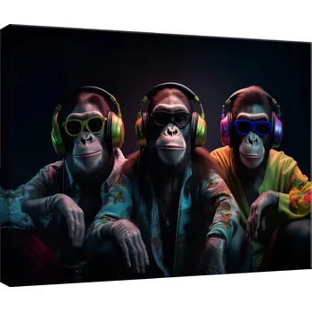 Obraz OBRAZ OPICE HUDBA ABSTRAKCE MODERNÍ NA PLÁTNĚ NA ZEĎ DO OBÝVÁKU 40x30