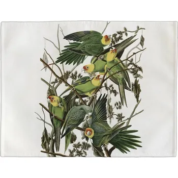 prostírání Prostírání na stůl Carolina Parakeet James Audubon