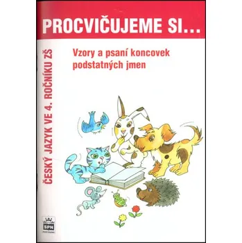 Procvičujeme si vzory a psaní koncovek podstatných jmen pro 4. r. ZŠ