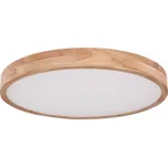 Globo 41745-48 - LED Stmívatelné stropní svítidlo RAINER LED/48W/230V + DO