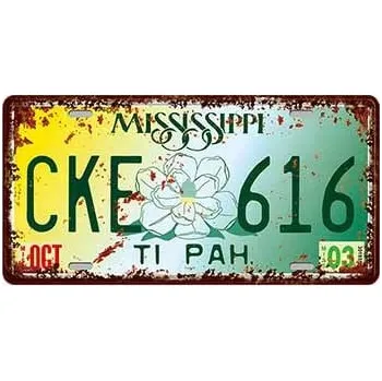 Obraz Plechová cedule Mississippi