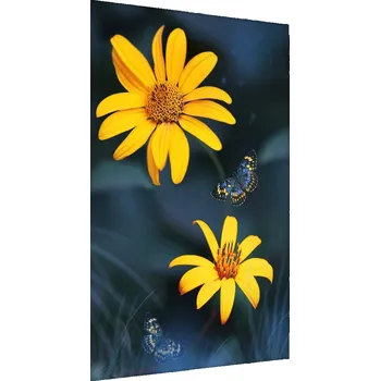 Obraz Plakát Žluté KVĚTY Motýli Příroda 3D Efekt 30x40
