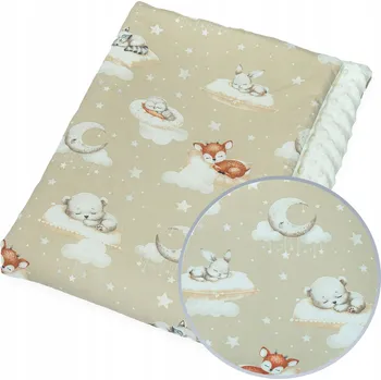 Dětská deka DEKA PRO PŘEDŠKOLÁKA DO ŠKOLKY MINKY 100x135 Kerstin