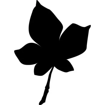 Samolepící dekorace Samolepka na stěnu list javor strom 45x30cm