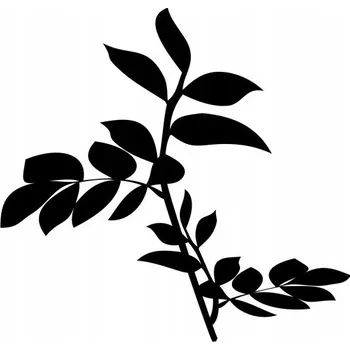 Samolepící dekorace Samolepka na stěnu - Listy popínavé rostliny 14x15cm