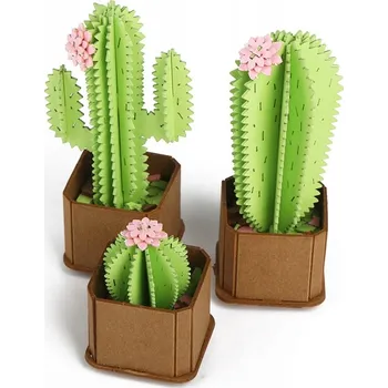 Puzzle BOOM 3D Puzzle s kaktusy