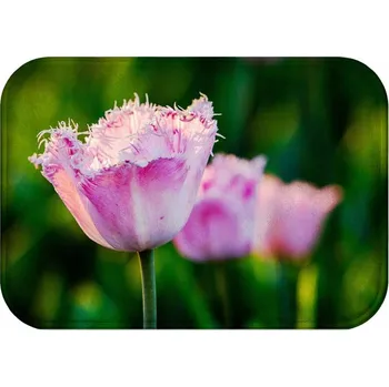 Koupelnová předložka KOUPELNOVÁ PŘEDLOŽKA | MĚKKÁ MATA PRYSZNIC STYLOWA ANTYPOŚLIZGOWA 60X40 VZ