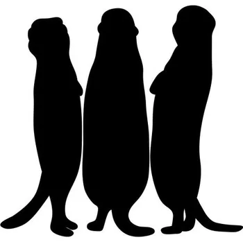 Samolepící dekorace Samolepka na stěnu - Surikaty 14x15 cm