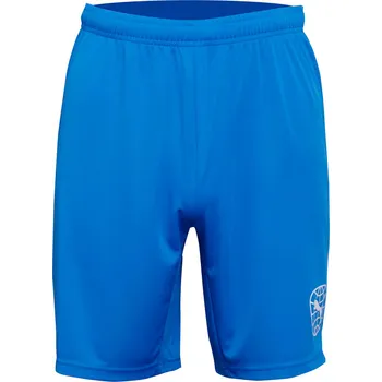 Pánské kraťasy Šortky Puma RE Fibre Short 705892-002-001 Velikost L