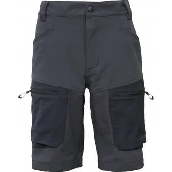 Pracovní obuv Pánské elastické pracovní kraťasy BOZP Cargo Bosafety černé, velikost 54