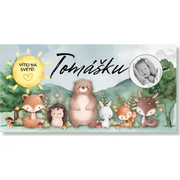 Personal Banner na přivítání miminka – Lesní zvířátka Rozměr banner: 130 x 65 cm