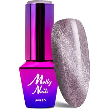 Přípravek na nehty Cat eye gel lak, 8g – rafinovaná elegance s efektem kočičích očí STEEL (Efektový gel lak cat eye, Steel)