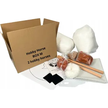 Bezpečnostní kamera Hobby Horse BOX M - Udělej si sám + INSTRUKTÁŽNÍ VIDEO