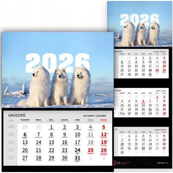 Kalendář Nástěnný Kalendář 2026 Trojdílný SAMOJED Roztomilí Psi Pejsci Dárek Vzory