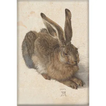 Obraz Magnet Mladý zajíc Albrecht Dürer