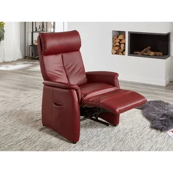 Křeslo Kožené polohovací křeslo KILIAN PLUS s elektrickým polohováním s kardiováhou, asistencí vstávání a baterií