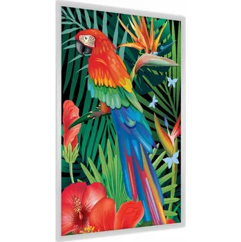 Obraz Plakát na zeď PAPOUŠEK Květiny Listy Motýli 60x80