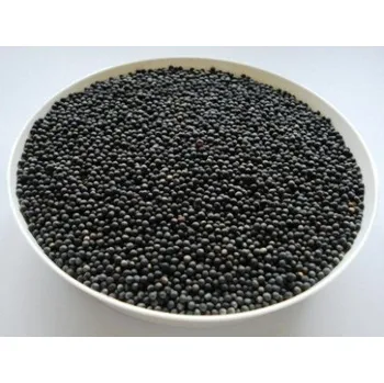 Semeno AGRI Slatinice Řepka olejka ozimá 500 g