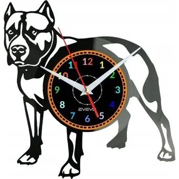 Hodiny Nástěnné hodiny Amstaff - vinylová deska, moderní dekorace