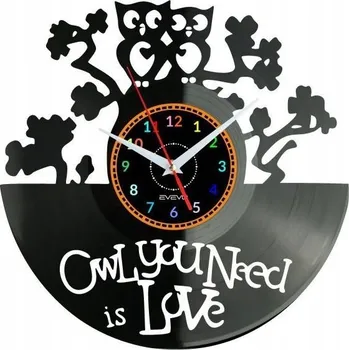 Hodiny Hodiny nástěnné Sovy vinylová deska Moderní dekorativní