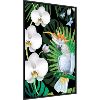 Obraz Plakát v Rámu PAPOUŠEK Orchideje Listy 3D 60x80