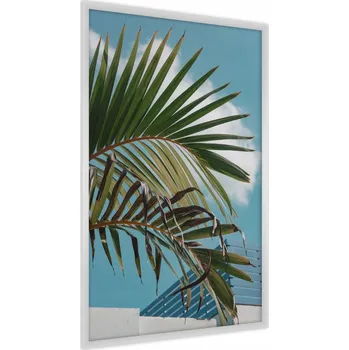 Obraz Plakát na zeď Palmové Listy Nebe Oblaka 60x80
