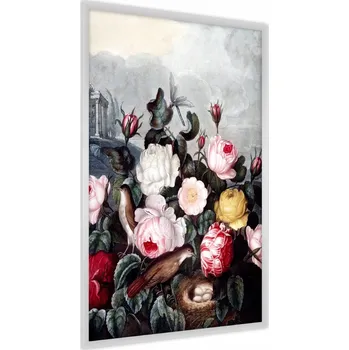 Obraz Plakát v Rámu Barevné RŮŽE Ptáci Příroda 50x70