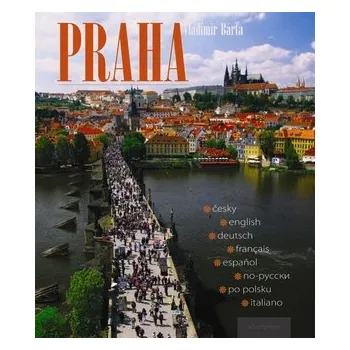 Praha (ČJ, AJ, NJ, FJ, ŠJ, Pol.J, RJ, IJ)