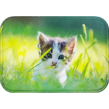 Koupelnová předložka KOUPELNOVÁ PŘEDLOŽKA | MĚKKÁ ANTYPOŚLIZGOWA PRYSZNIC MATA 60X40 STYLOWA VZ