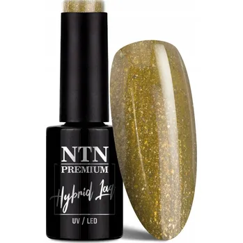 Lak na nehty NTN Premium Hybridní Lak 5 ml - Kolekce Celebration Č. 170