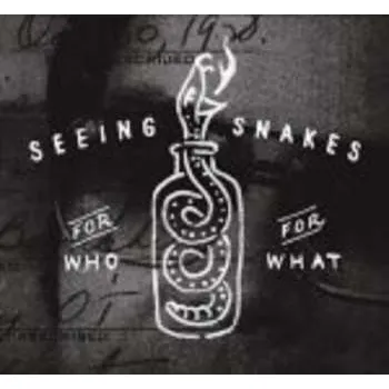Zahraniční hudba CD Seeing Snakes: For Who For What 2017