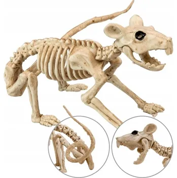 Obraz KOSTRA POTKANA 40 CM HALLOWEENSKÁ DEKORACE