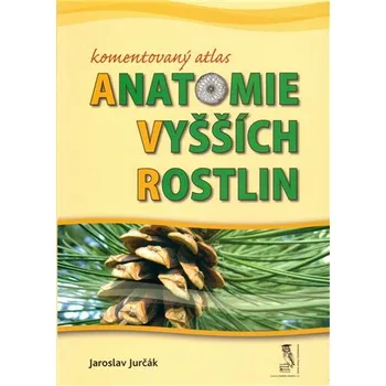 Komentovaný atlas anatomie vyšších rostlin