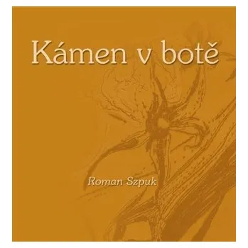 Poezie Kámen v botě
