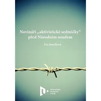 Novináři „aktivistické sedmičky“ před Národním soudem